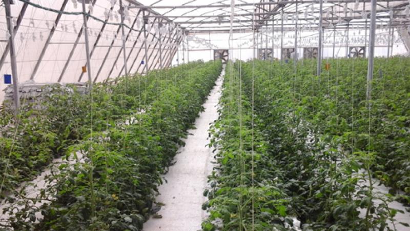 Unión Agropecuaria Militar