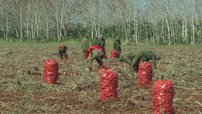 Las FAR, con sus fuerzas y medios, realizan aportes notables a la economía del país